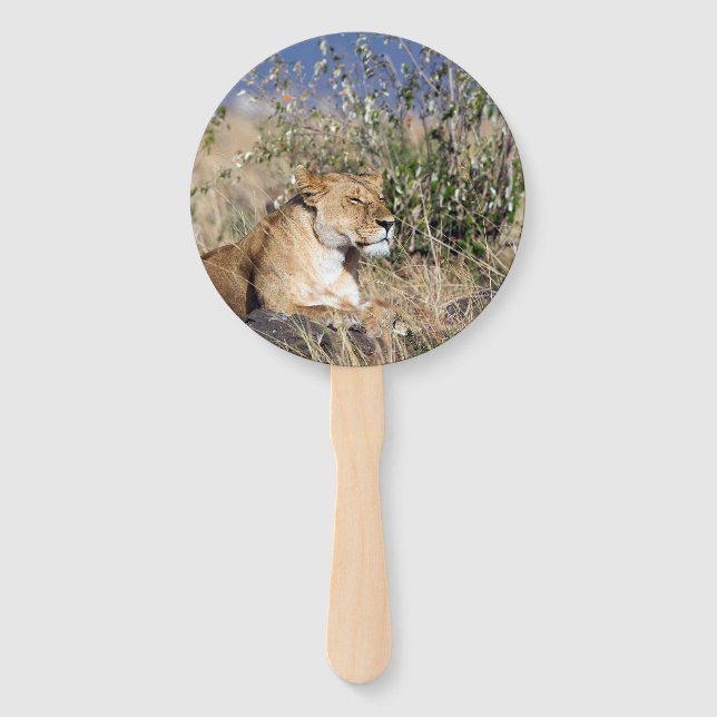 Lioness resting hand fan (Front)
