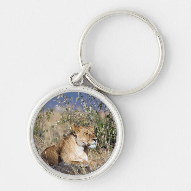 Lioness resting keychain (Front)