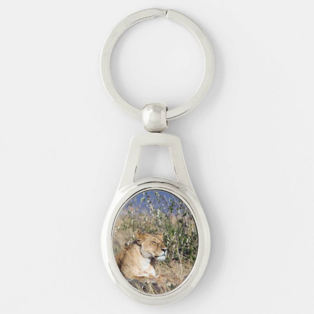 Lioness resting keychain (Front)