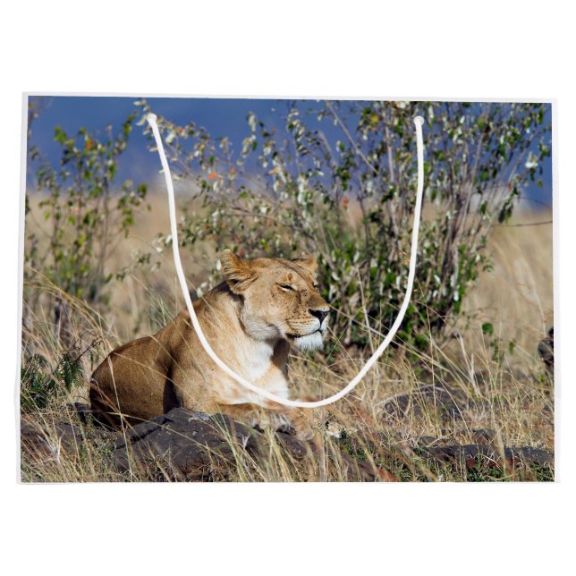 Lioness resting large gift bag (Back)
