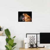 Lioness Roaring Art Portrait Poster (Home Office)