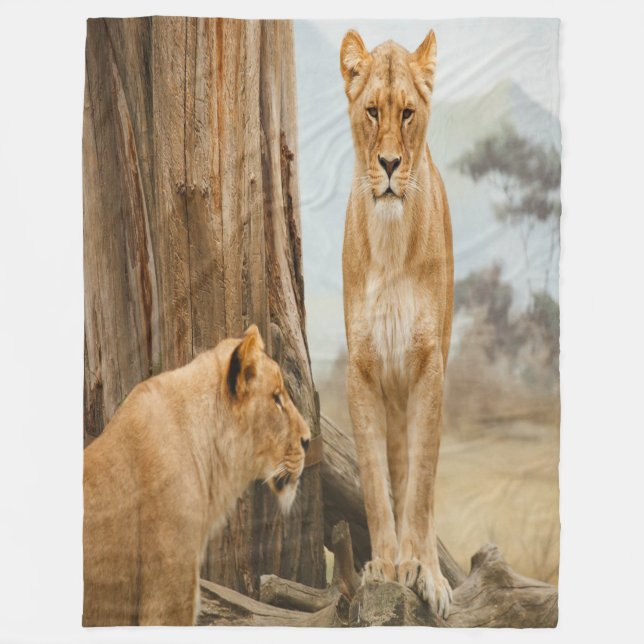 Lioness Rules Fleece Blanket (Front)