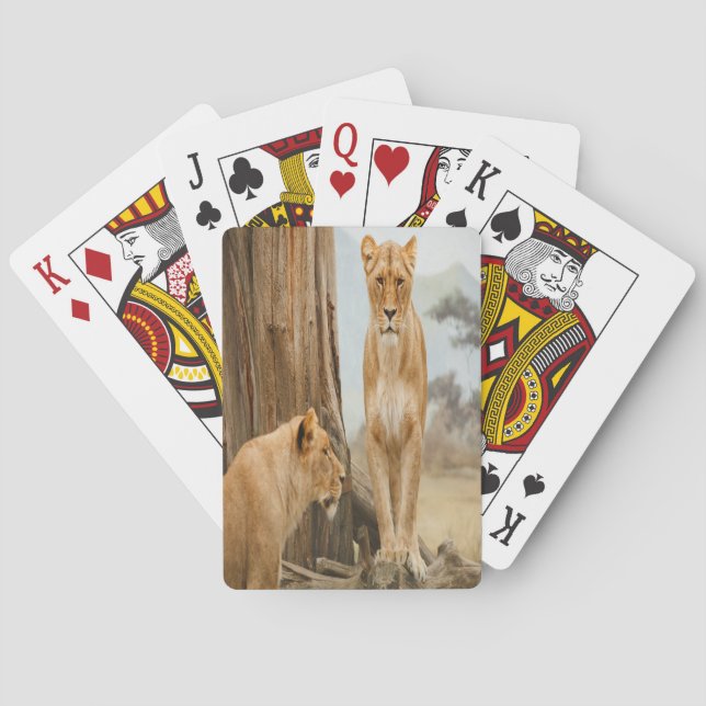 Lioness Rules Poker Cards (Back)