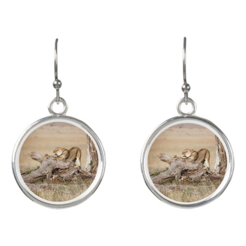 Lioness stretching earrings