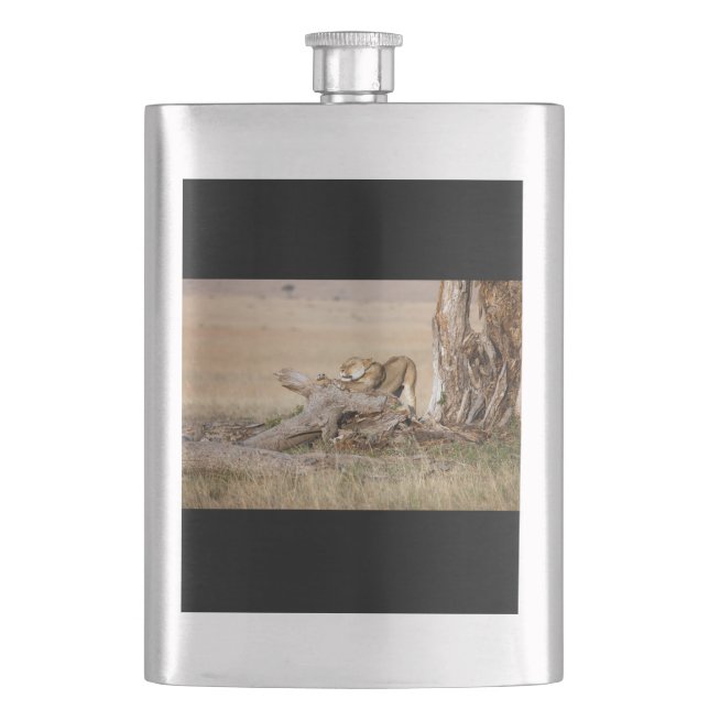 Lioness stretching flask (Front)