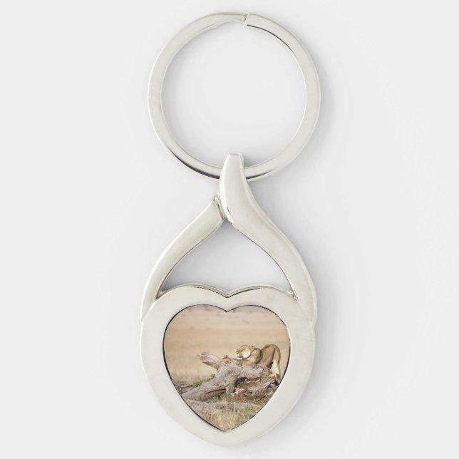 Lioness stretching keychain (Front)