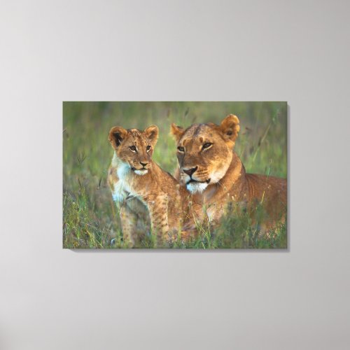 Lioness with Cub at Dusk Canvas Print
