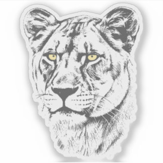 Lioness Yellow Eyes Sticker