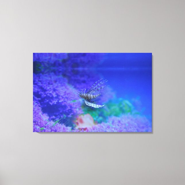 Lionfish Aquarium Fish Purple Pterois Zebrafish Canvas Print (Front)