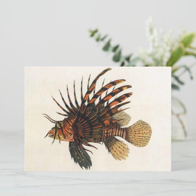 Lionfish Fish, Vintage Marine Ocean Life Animal (Standing Front)