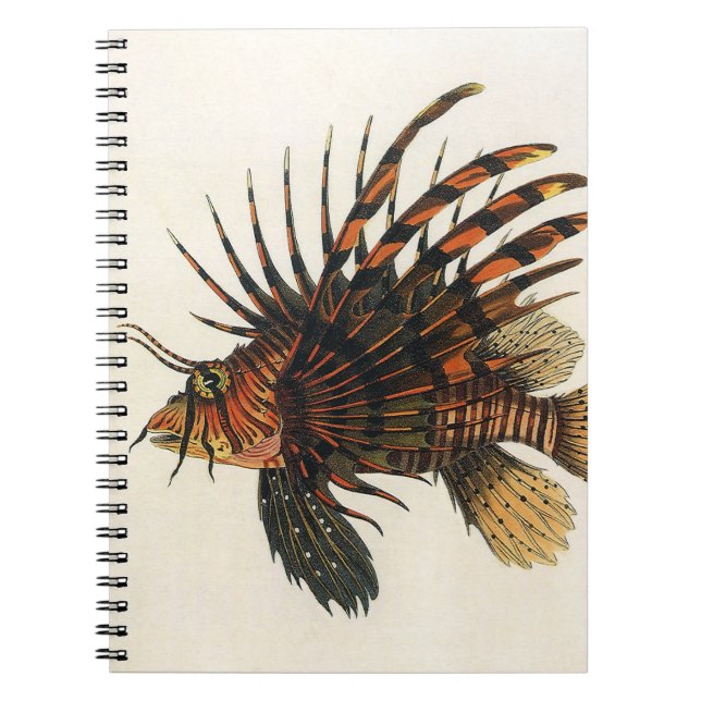 Lionfish Fish, Vintage Marine Ocean Life Animal Notebook (Front)
