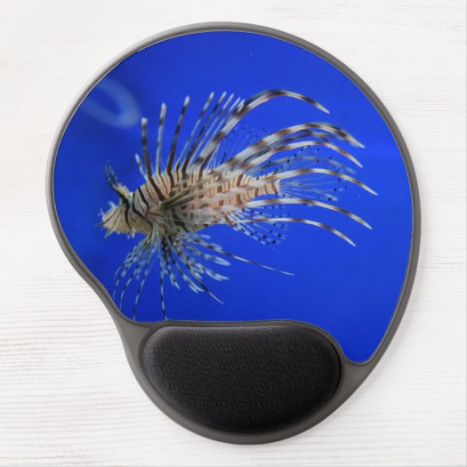 Lionfish