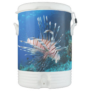 Lionfish or Pterois Miles, Ocean Reef Fish Beverage Cooler