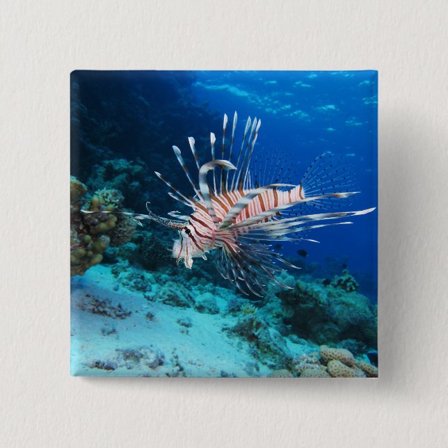 Lionfish or Pterois Miles, Ocean Reef Fish Button (Front)