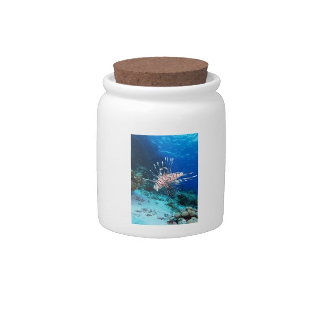 Lionfish or Pterois Miles, Ocean Reef Fish Candy Jar (Front)