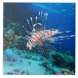 Lionfish or Pterois Miles, Ocean Reef Fish Ceramic Tile