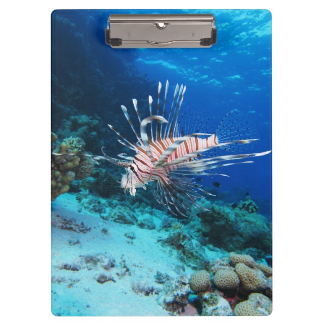 Lionfish or Pterois Miles, Ocean Reef Fish Clipboard (Front)