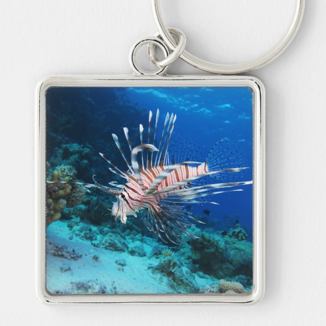 Lionfish or Pterois Miles, Ocean Reef Fish Keychain (Front)