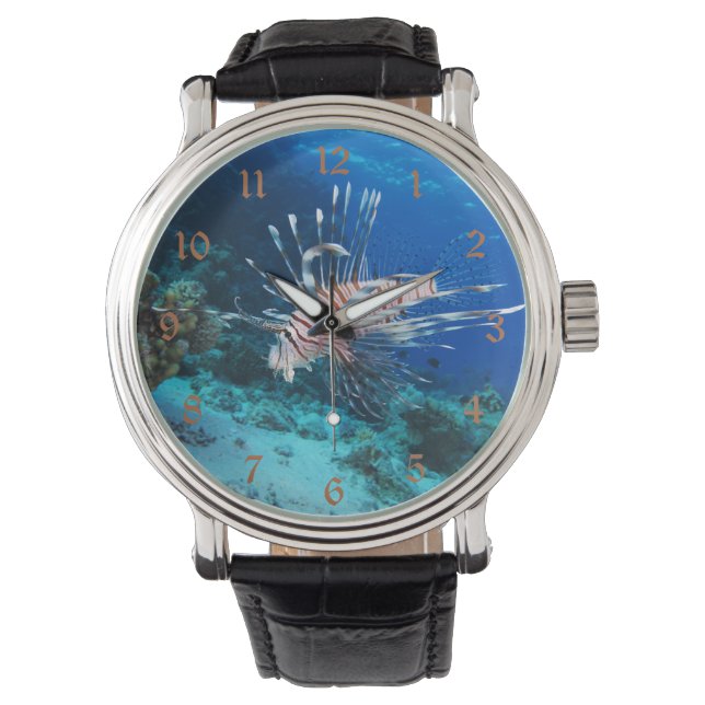 Lionfish or Pterois Miles, Ocean Reef Fish Watch (Front)