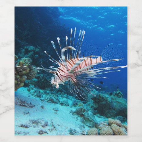 Lionfish or Pterois Miles Ocean Reef Fish Wine Label