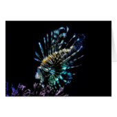 Lionfish swims (Front Horizontal)