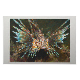 Lionfish up close! Very close and intense photo |  Faux Canvas Print