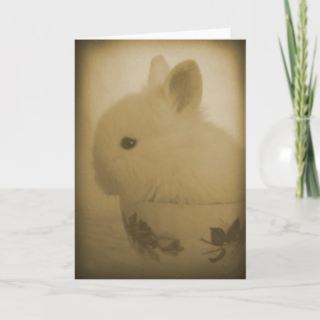 Lionhead Bunny and Teacup Card (Front)