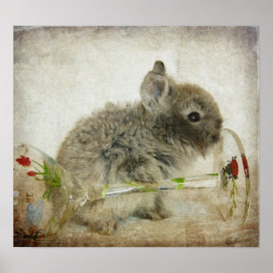Lionhead Bunny and Wine Glass Poster