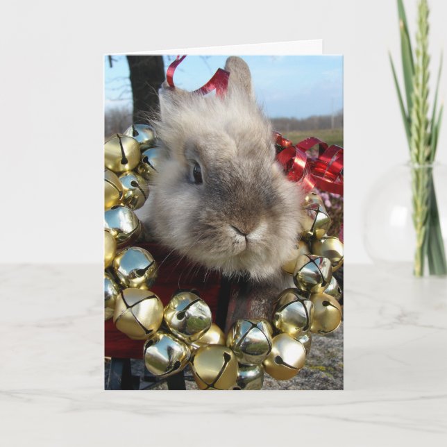 Lionhead Bunny Christmas Holiday Card (Front)