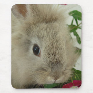 Lionhead Bunny Mouse Pad
