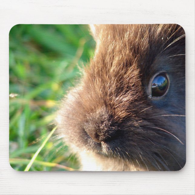 Lionhead Bunny Mouse Pad (Front)