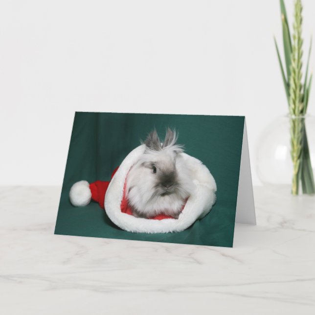 Lionhead Bunny Santa Holiday Card (Front)
