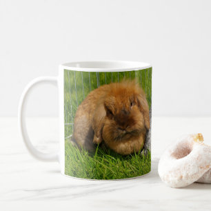 Lionhead Holland Mini Lop Bunny Rabbit Coffee Mug