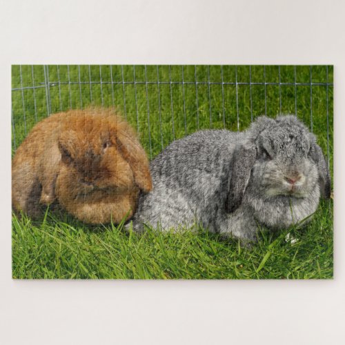 Lionhead Holland Mini Lop Bunny Rabbit Jigsaw Puzzle