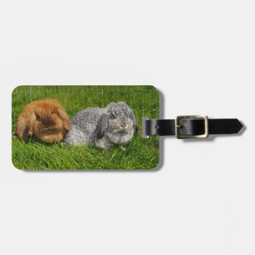 Lionhead Holland Mini Lop Bunny Rabbit Luggage Tag