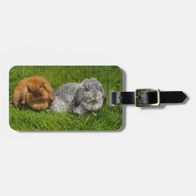 Lionhead Holland Mini Lop Bunny Rabbit Luggage Tag (Front Horizontal)