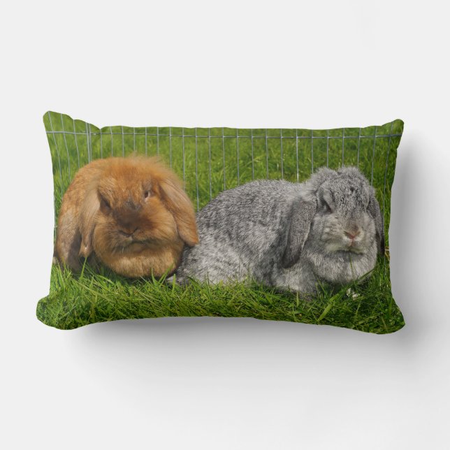 Lionhead Holland Mini Lop Bunny Rabbit Lumbar Pillow (Front)