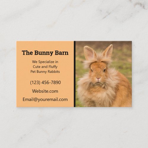 Lionhead Rabbit Breeder Business Card