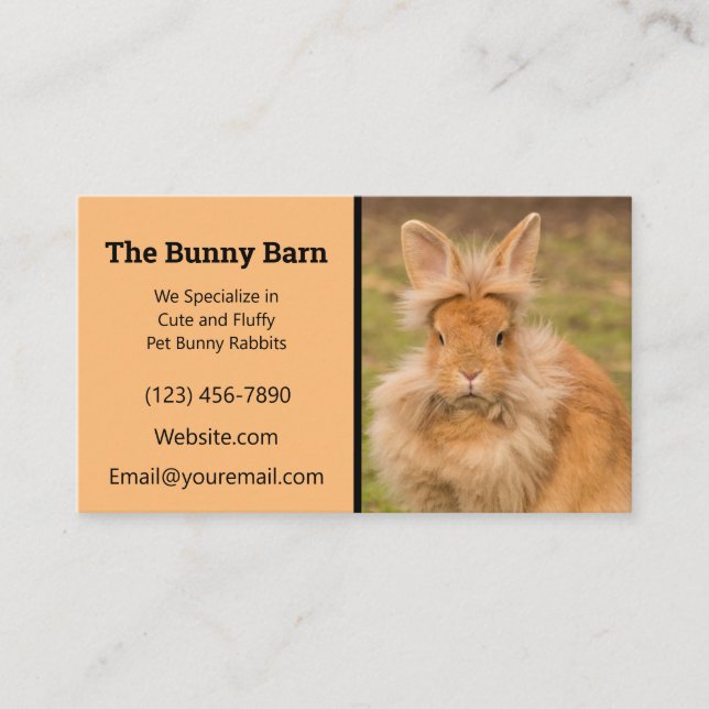 Lionhead Rabbit Breeder Business Card (Front)