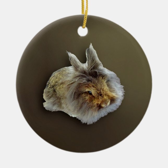 Lionhead Rabbit Ceramic Ornament (Front)