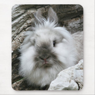 Lionhead Rabbit Mouse Pad