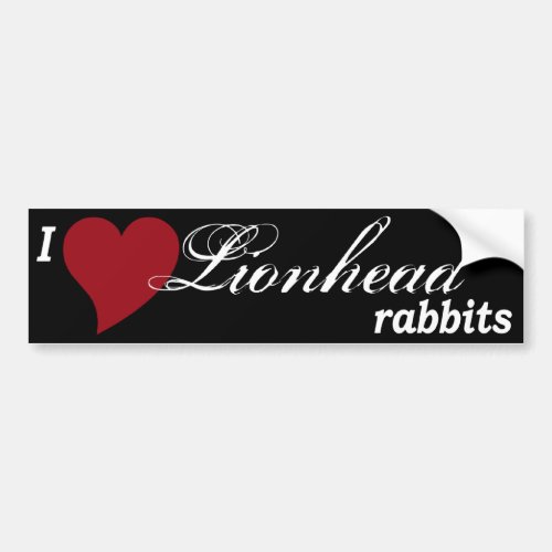 Lionhead rabbits bumper sticker