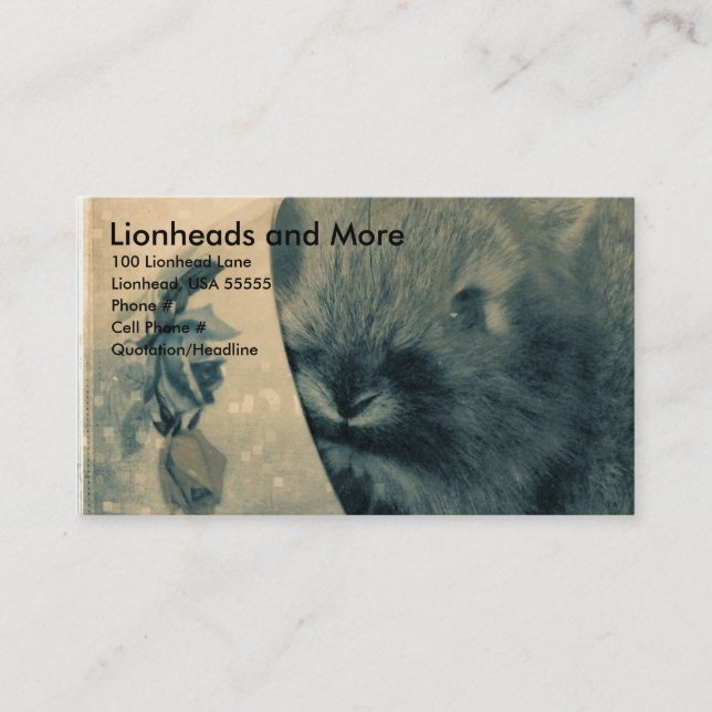 Lionheads and More Business Card (Front)