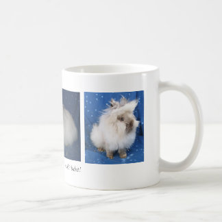 Lionheads Coffee Mug2 Mug