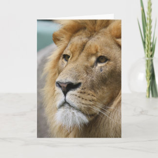 LionKing Card