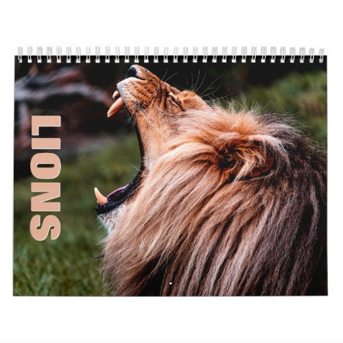 Lions 2 Wall Calendar
