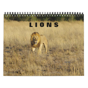 LIONS - ALL LIONS CALENDAR