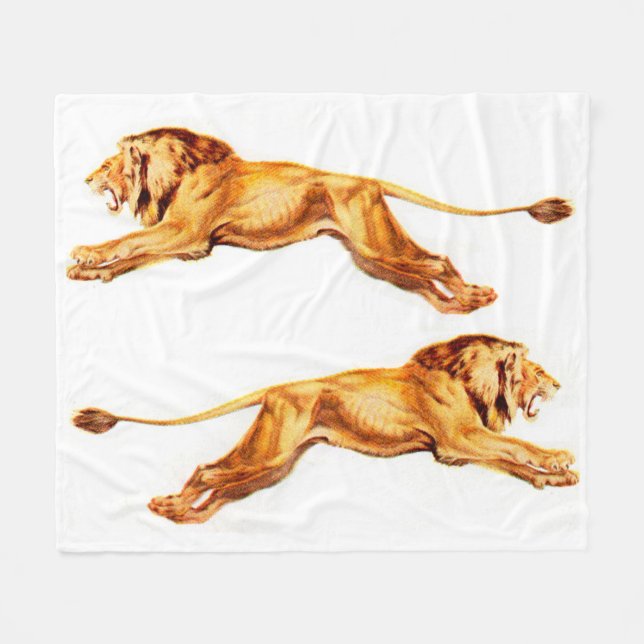 lions at cross purposes fleece blanket (Front (Horizontal))