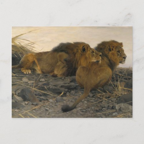 Lions at Watch by Wilhelm Kuhnert Postcard
