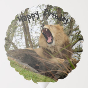 Lion's Birthday Shout Out Balloon